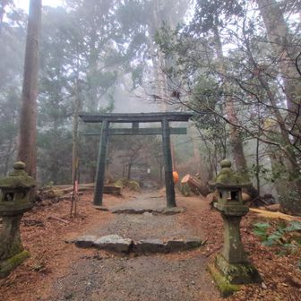 分岐まで来ました
まだ奥の院は先です