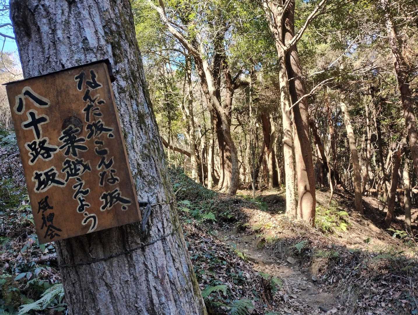 八十路坂😁