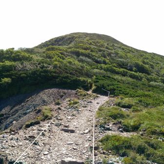 こっからのUpはキッチリ150くらいあるけど