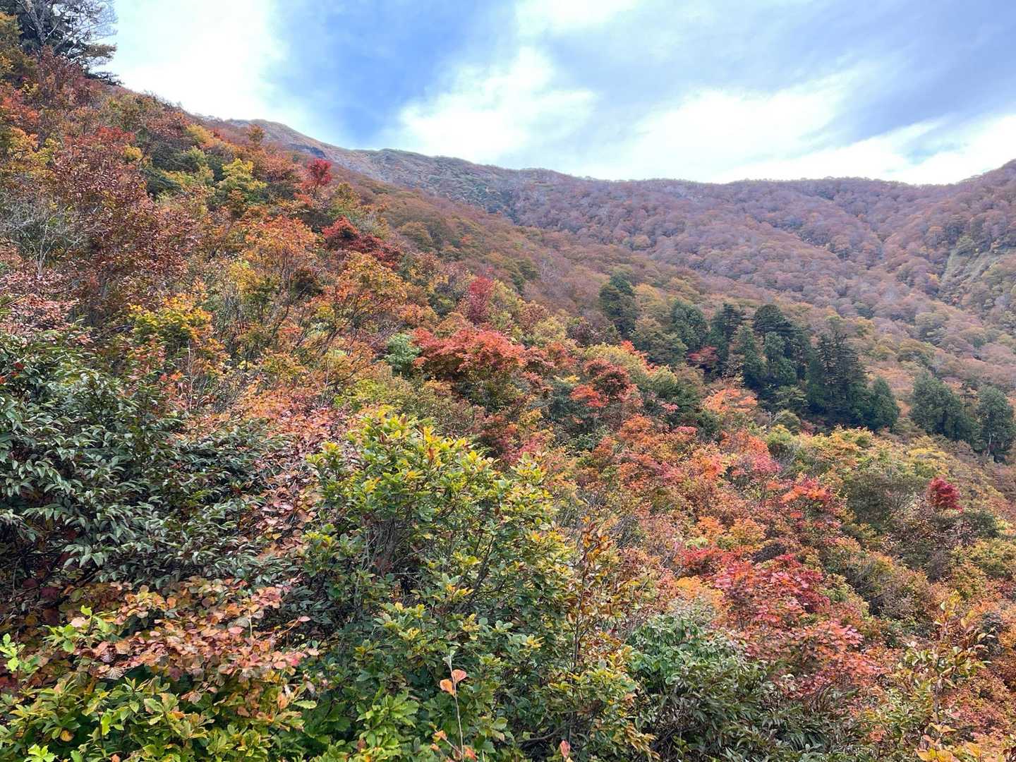 谷川岳馬蹄形縦走コースの写真