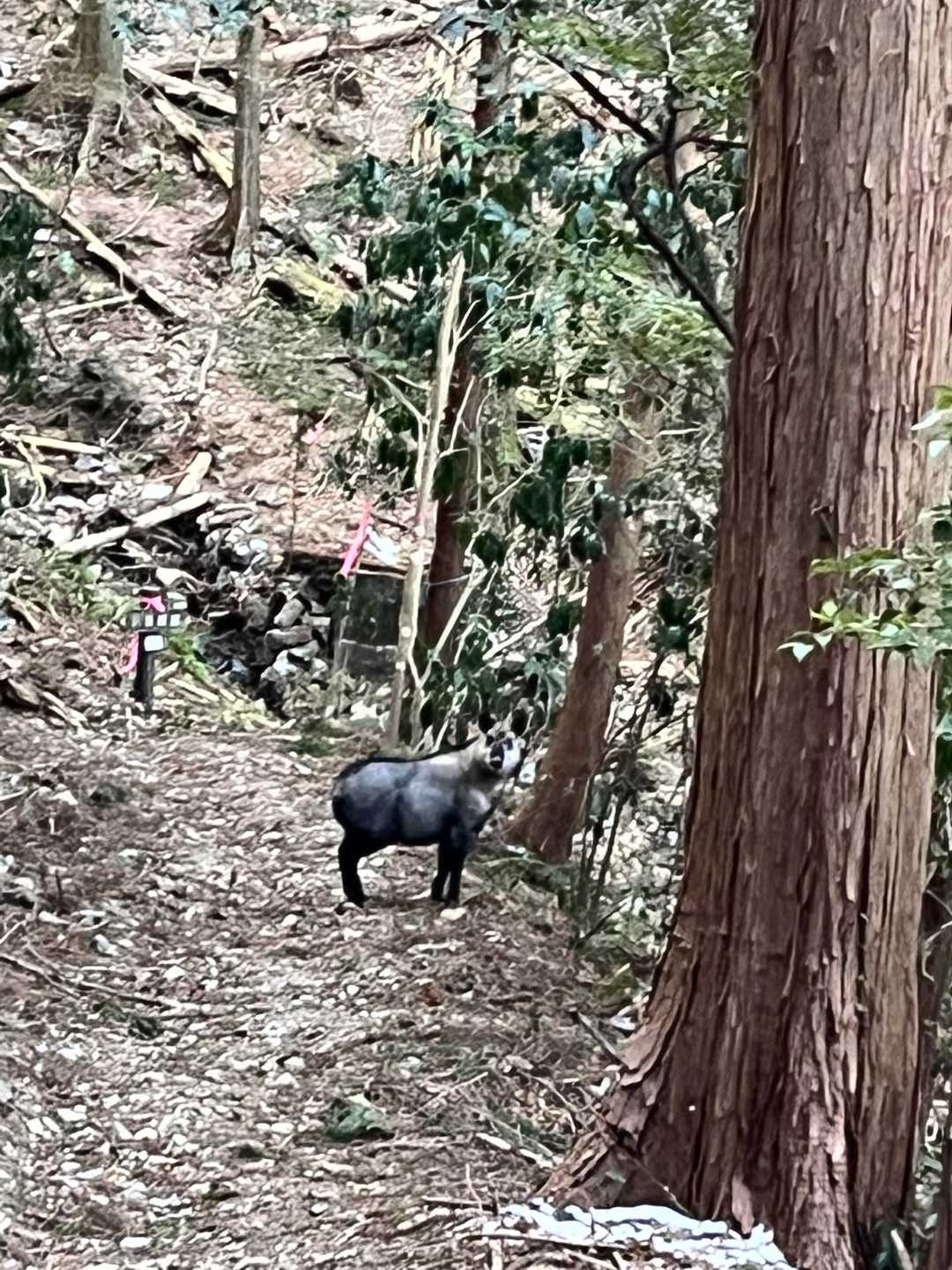 振り返ってくれた😍
逢えて嬉しい！
ありがとう♡