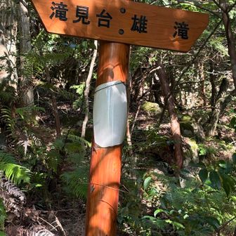 もいっこ別の普通の登山道で来てたら、
アッサリこのカンバンから 雄滝に 行けますぅーーー😑
