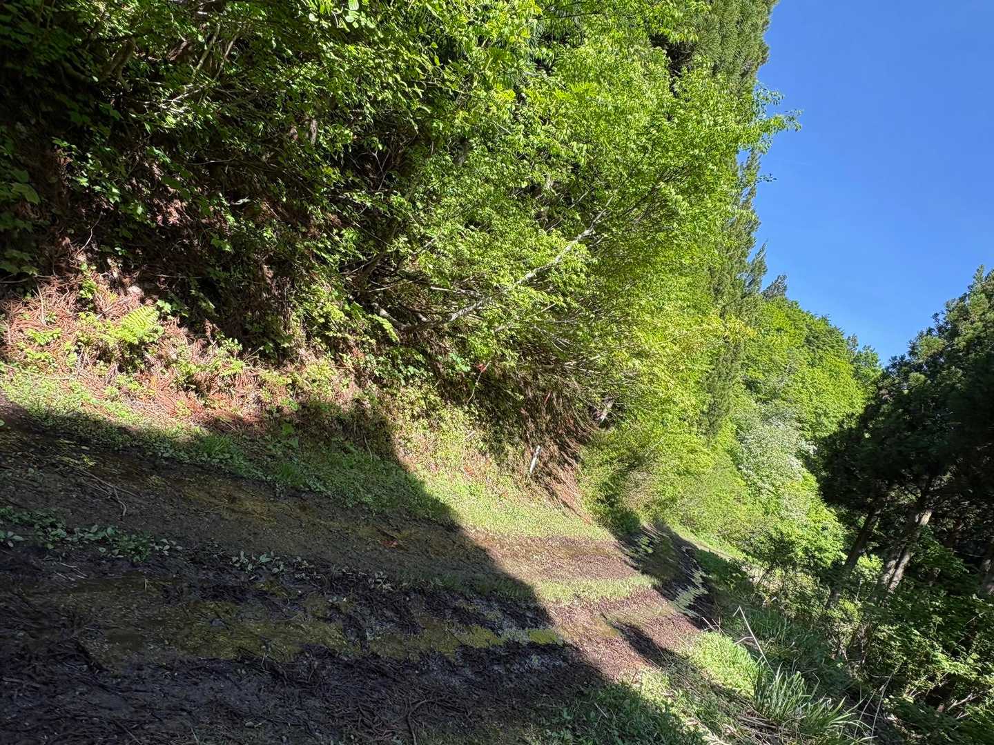 林道に出る😕
前回の事は　ちょっと記憶に無いけど…