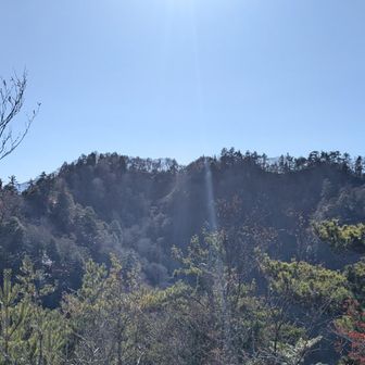 ついにあれこそ諏訪山でしょう～長かった～

どこがピークなんだ？(  'ω')