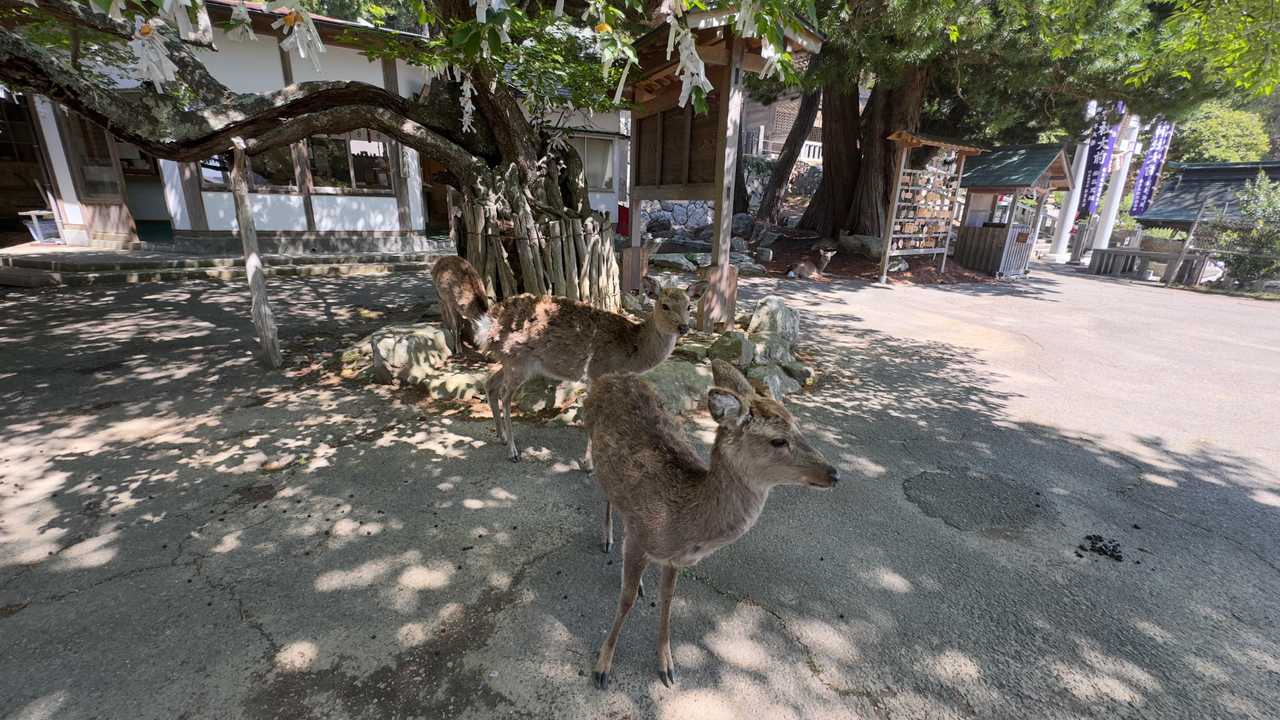 みちのく潮風トレイル#1／松川浦〜女川駅 の写真 136