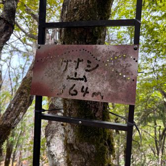 毛無山最高点