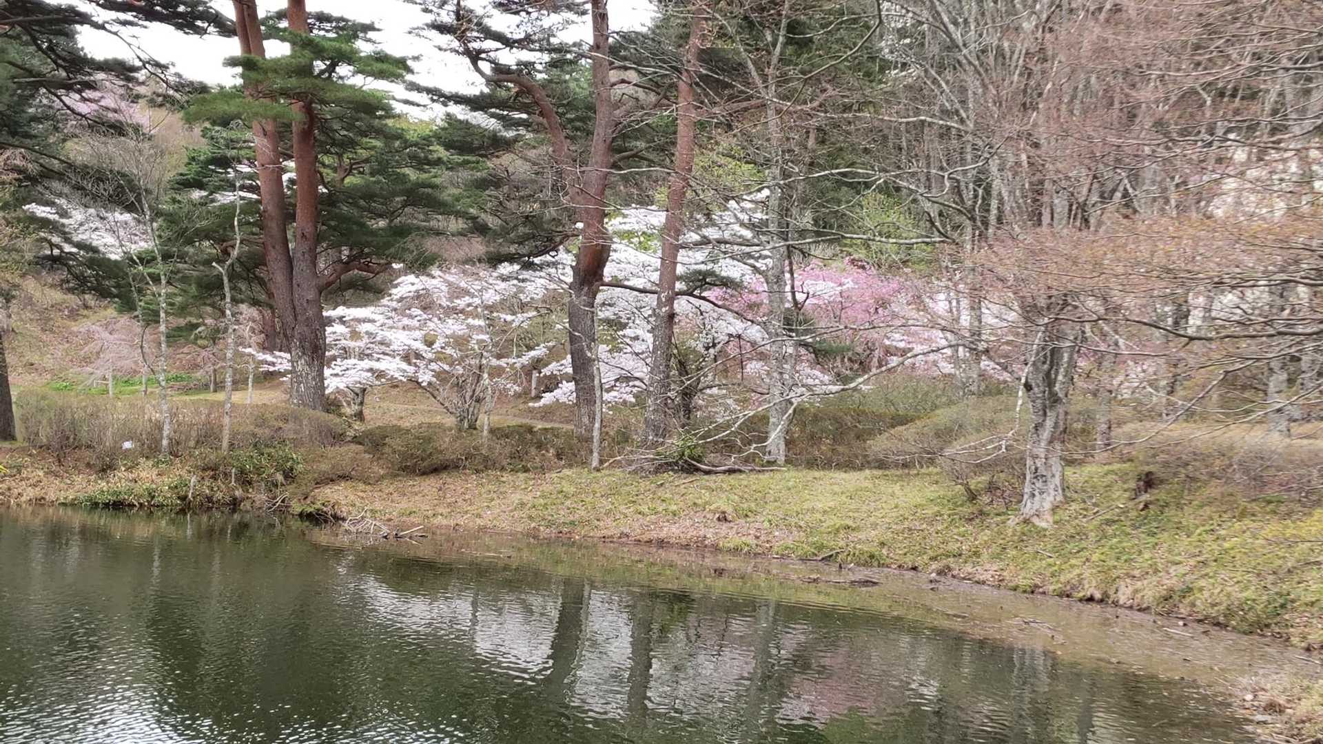 半田山 周回コースの写真