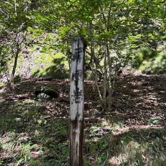 屏風岩！奥に見える岩