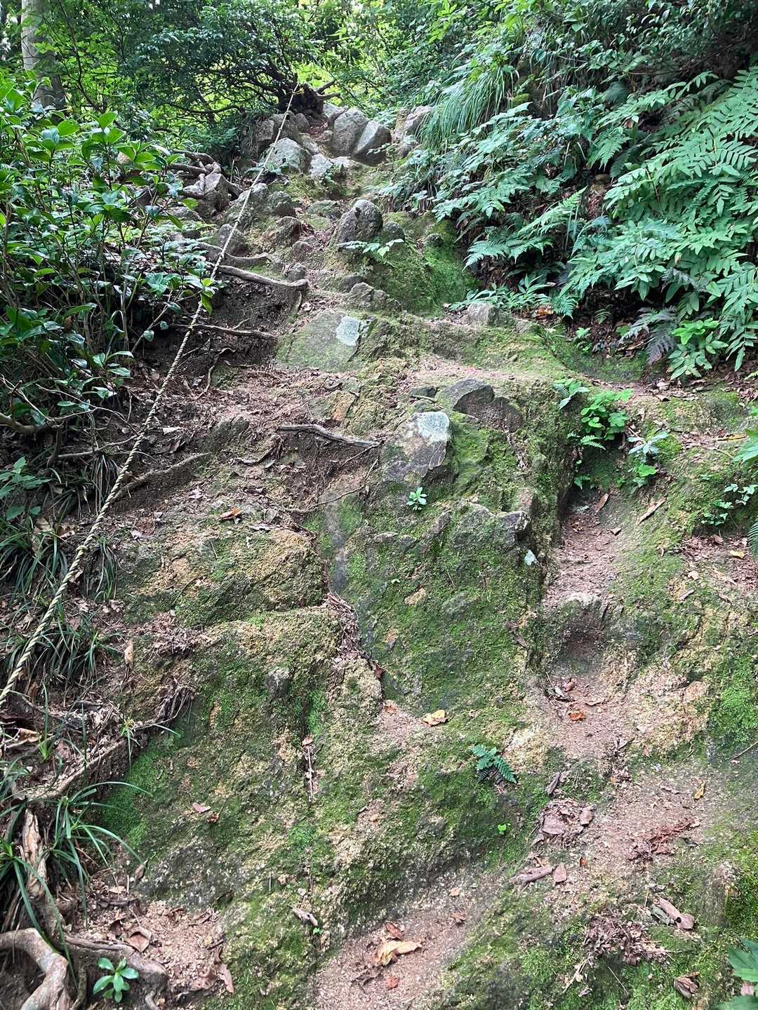 とにかく登りが苦しい