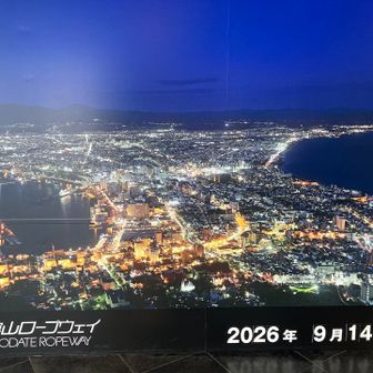 おなじみの有名な夜景
夜はこんな感じで観れるようです