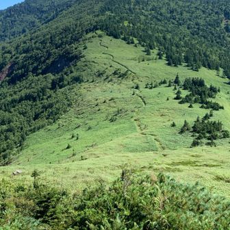 毛無山から御飯岳への稜線