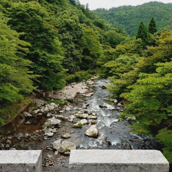 下山し、金鈴橋から清滝川を眺める