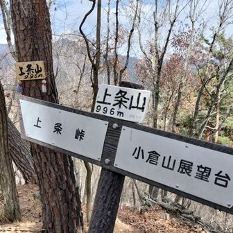 上条山登頂
展望はほぼなし