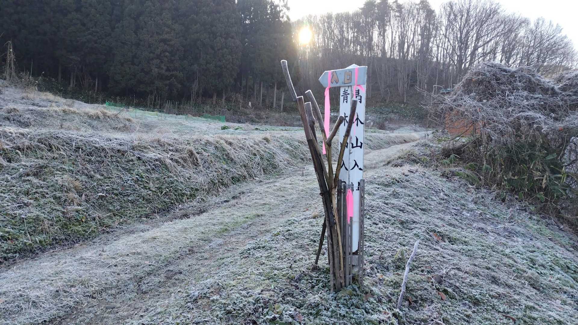 今日もここから
今朝の冷え込みであたりは真っ白