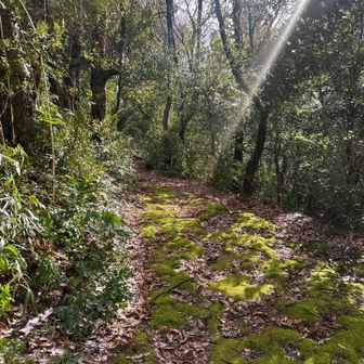 ぐるりとまわって