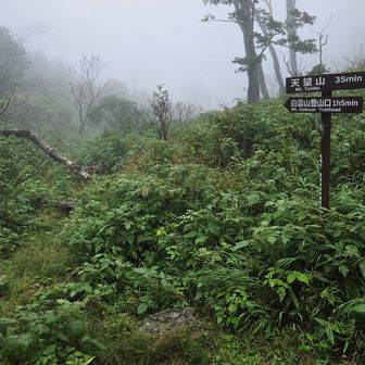 天望山への分岐
天候と体力を考えて、やめました🙄
