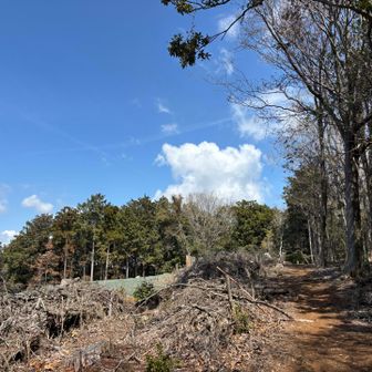 4年ぶりの金山⛰️

なんか全然違う😱木々が伐採されて開けた笑