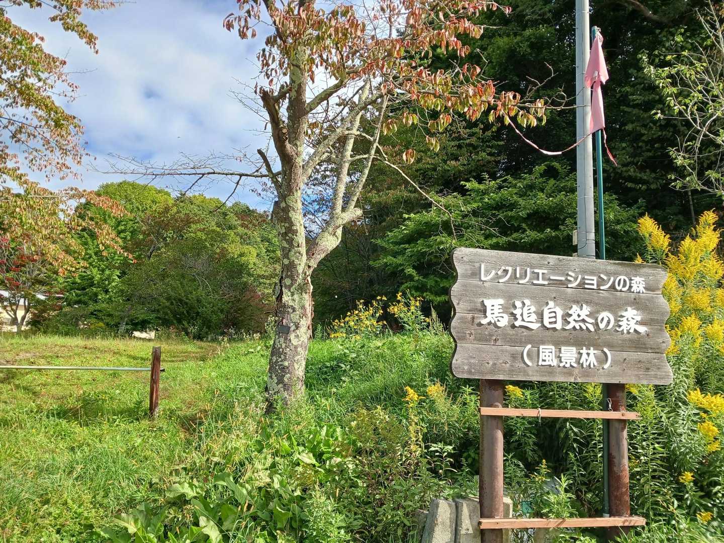 良い天気～！