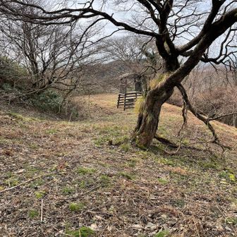 砦のようなもの？