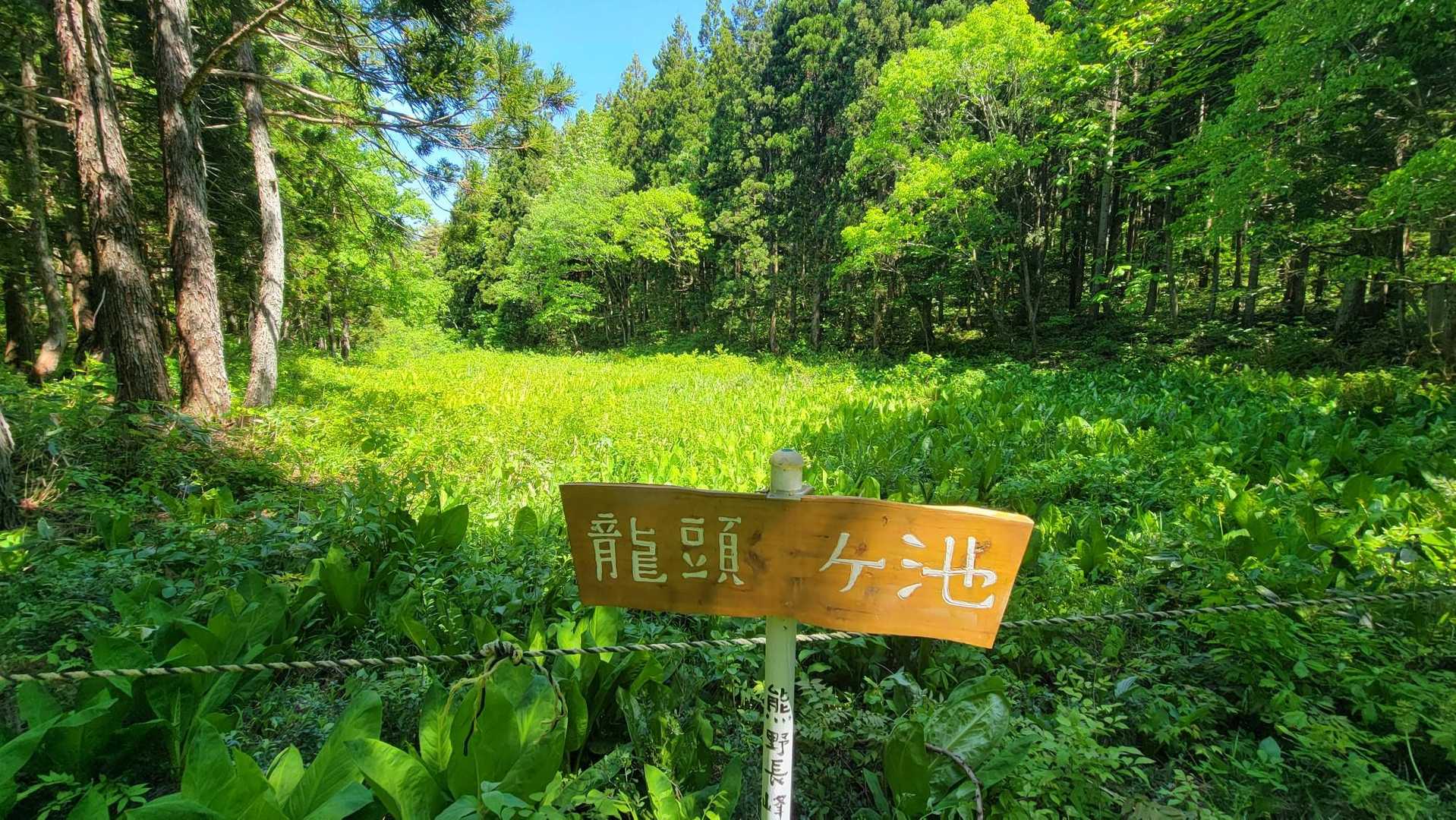 熊野長峰-虚空蔵山 周回コースの写真