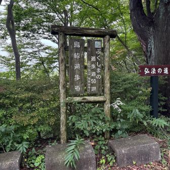 下から登って来る人はここから来るのね🤔