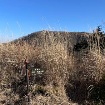 これから烏尾尾根降りて新茅山荘目指します