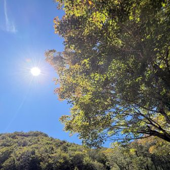 汗冷えの身体がぽかぽかしていい陽射し