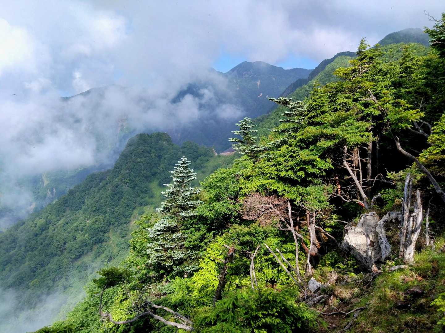 赤薙山から女峰山(曇が出て来ました)