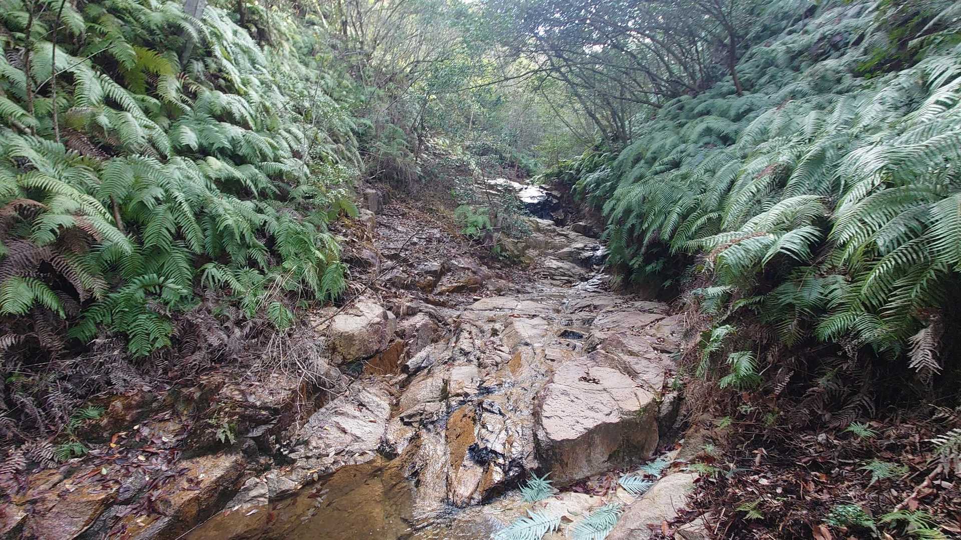 小麦ヶ岳-蕎麦ヶ岳 往復コースの写真