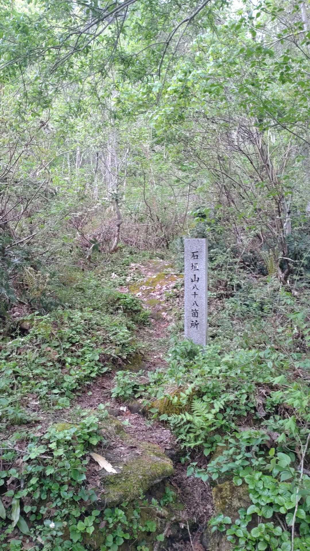 石垣山登山口-石垣山 往復コースの写真