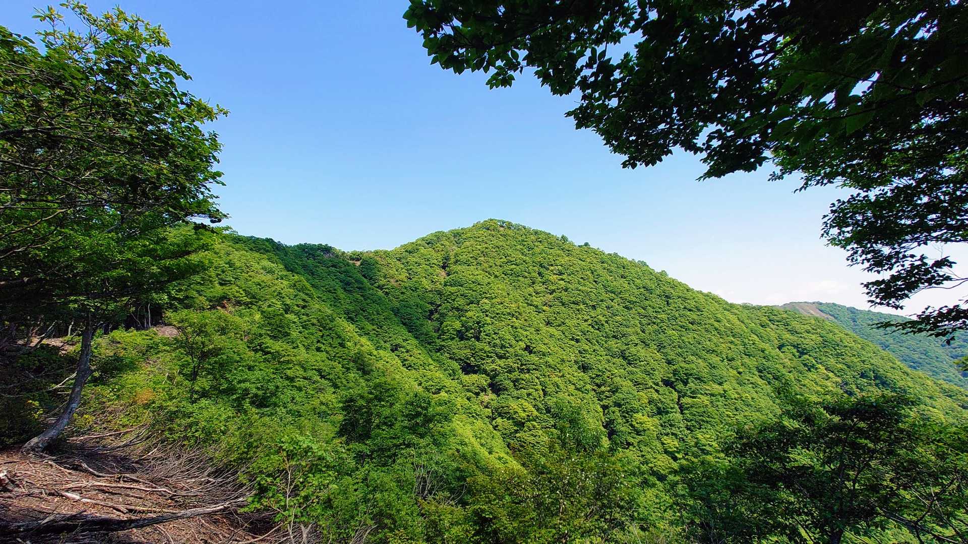 頂上見えた😲…と思ったら
手前の前衛峰という山でした😅