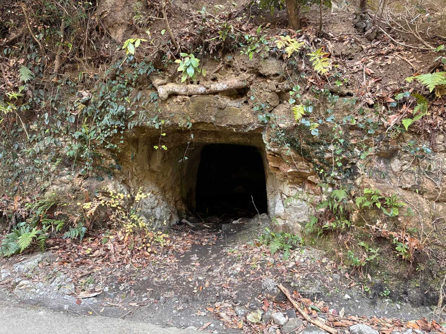 防空壕跡だって