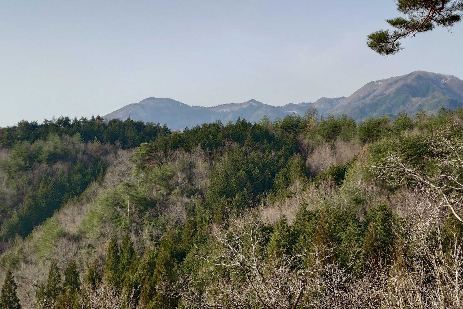 馬の背-蘇武岳 往復コースの写真