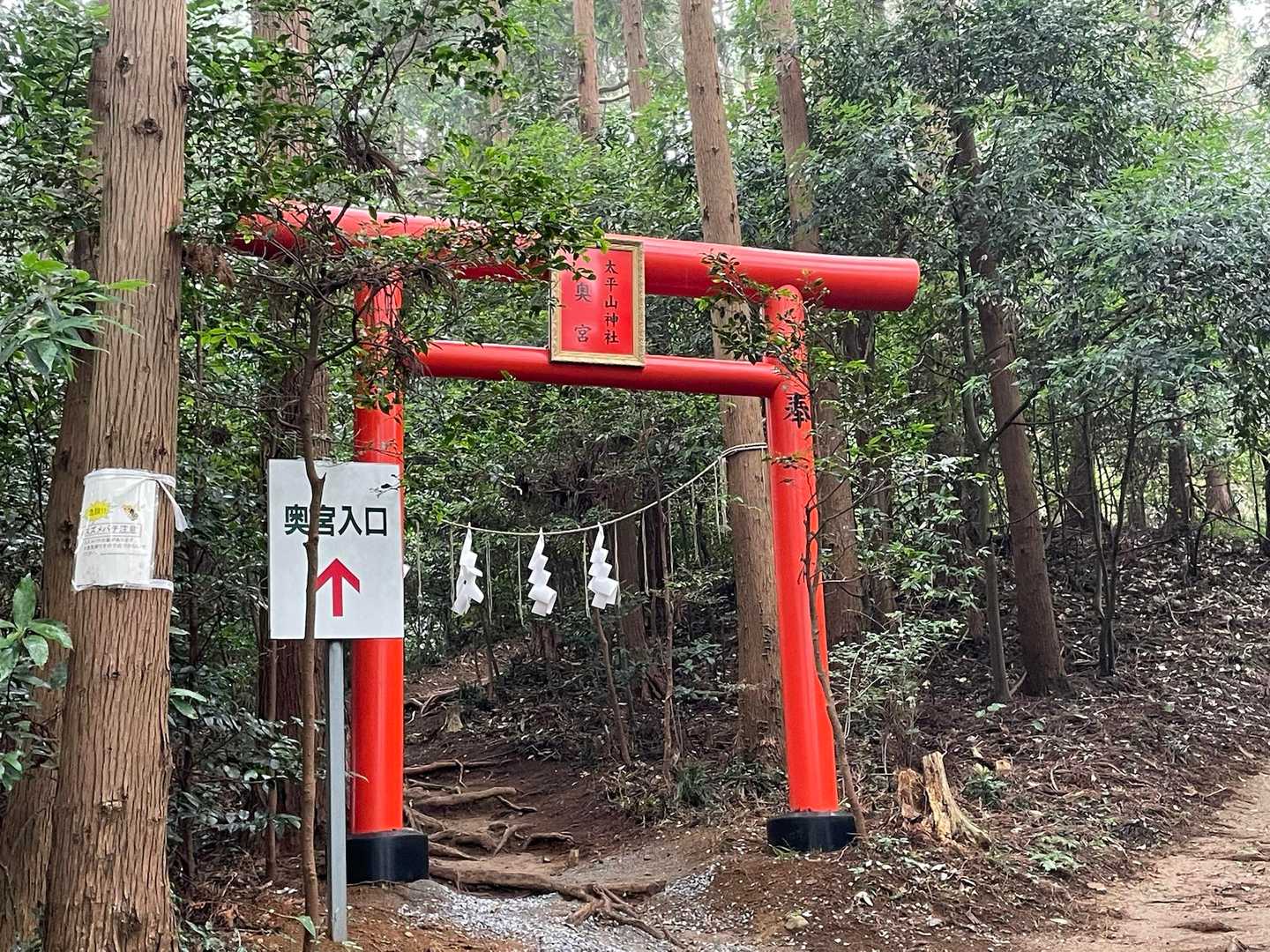 奥宮の新しい鳥居⛩️
立派です👏