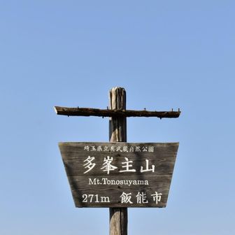 ここまでは賑やかな20人程度のオバチャンが前を歩いていたしたが、この先からは殆ど人に会わず、黙々と山歩きを楽しみました。