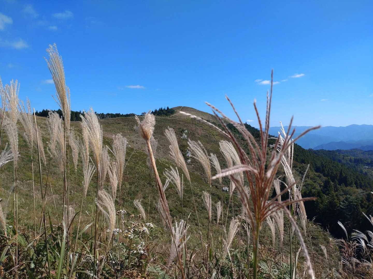 生石高原を歩きます