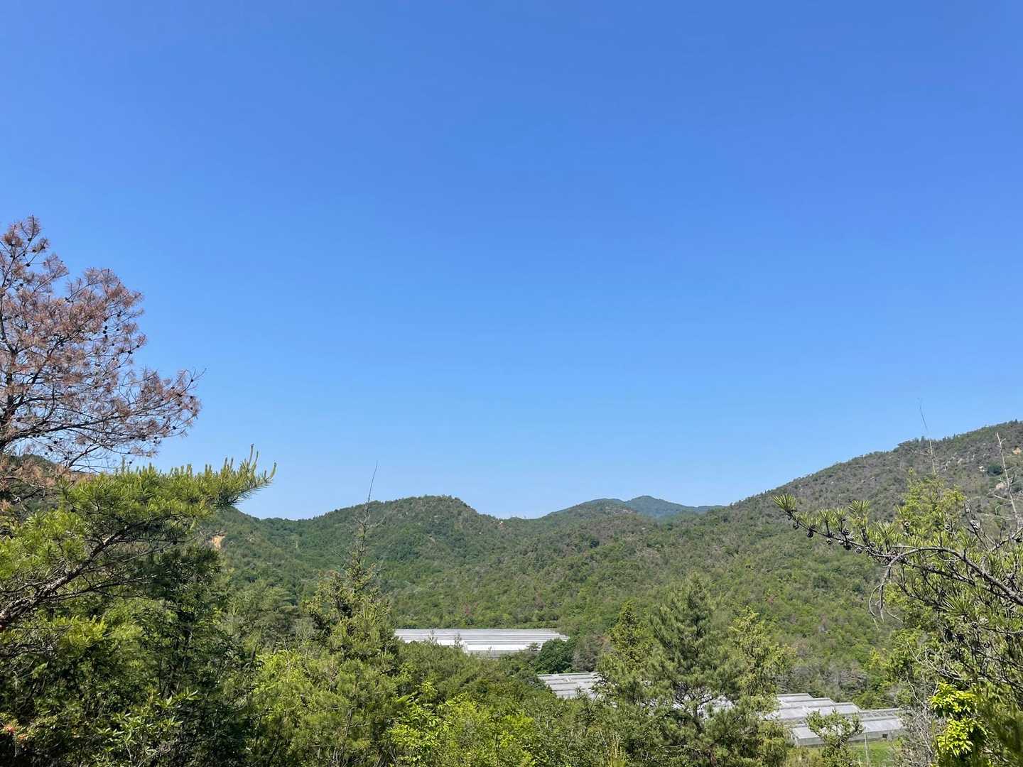 青い空