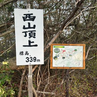 北廻りして、西山🙌