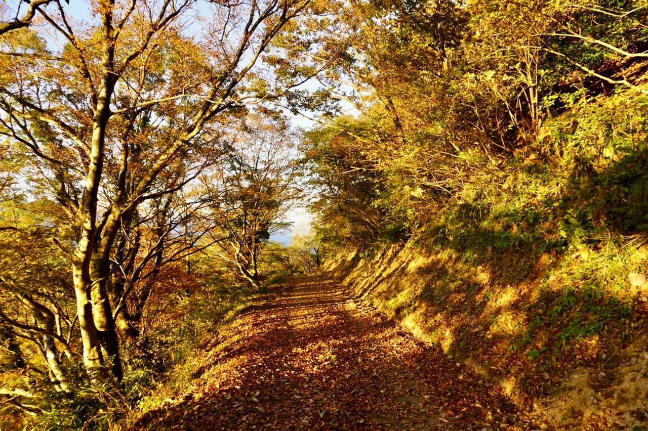 駐車場までてくてく。紅葉🍁綺麗でしたよ