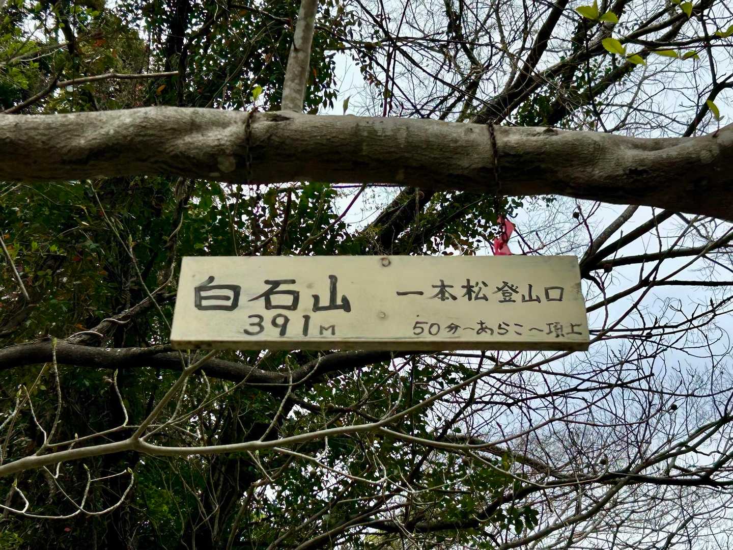 晴れ予報やったに
寒いし
青空があまり無い(´-_-｡`)ﾑ-