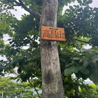 高昌山（たかまさやま）
標高 1,125m 
由来　わからん
やけど高く陽光に映える山といことかな
イブネ　クラシの方がちょっと標高高いけど🤏