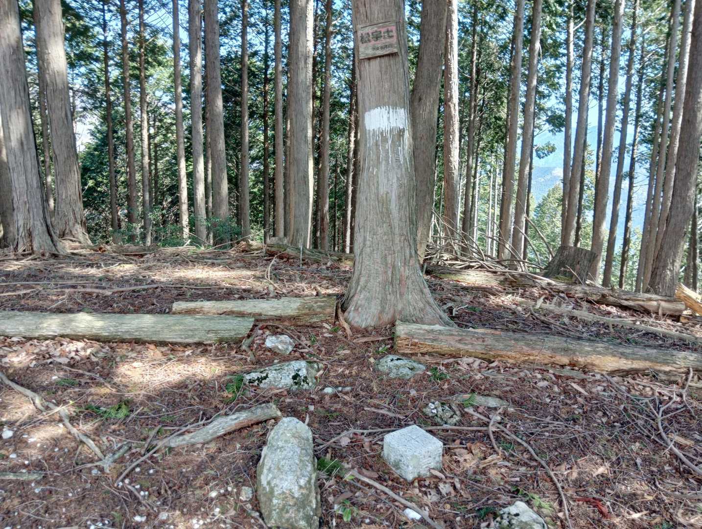 松宇土山頂に👍