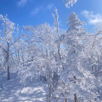 コントラストが素晴らしい👍
