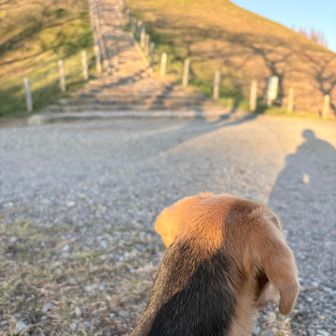 いつか一緒に登ろうね。