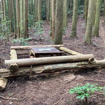 分岐を展望台(旗台)ルートへ