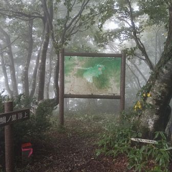 鯛ノ巣山山頂。