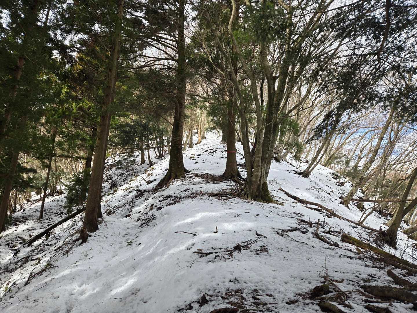 土山峠バス停-辺室山-物見峠-三峰山-唐沢峠-矢草ノ頭-大 縦走コースの写真