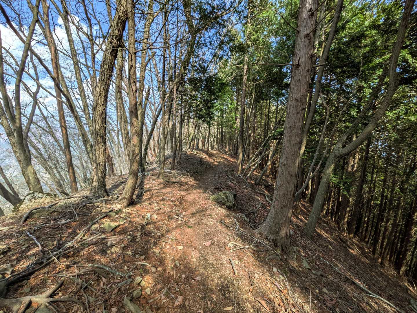 下山に利用したルートがとにかく最高に歩きやすく高速道路でした😆👍

