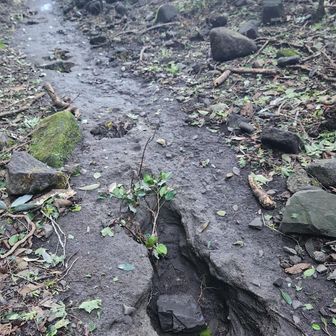 穴
足元注意、脇を通過