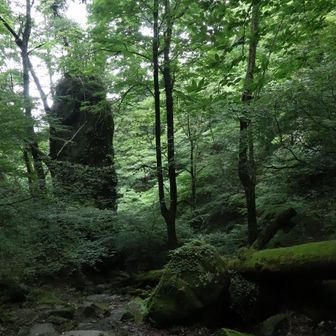 そして、屏風岩を下ったあたりで、ひと組の親子からお不動さまへの道を尋ねられ案内 (⑅•ᴗ•⑅)